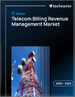 2025-2029年全球電信收費收入管理市場