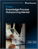 2026-2030年全球知識流程外包市場