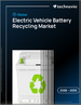 2026-2030年全球電動車電池回收市場