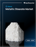 2026-2030年全球金屬硬脂酸鹽市場