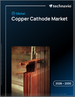 2026-2030年全球銅陰極市場