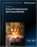 2026-2030年全球雲端專業服務市場