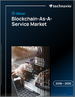 2026-2030年全球區塊鏈即服務市場