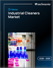 2026-2030年全球工業清洗市場
