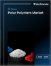 2026-2030年全球極性聚合物市場