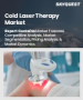 冷雷射治療市場規模、佔有率及成長分析（按類型、波長、技術、應用、最終用戶和地區分類）－2026-2033年產業預測