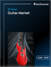 2026-2030年全球吉他市場
