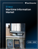 2026-2030年全球海事資訊市場