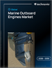 2026-2030年全球船用外置引擎市場