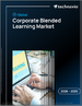 2026-2030年全球企業混合式學習市場