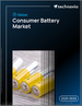 2025-2029年全球消費電池市場