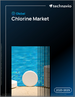 2025-2029年全球氯氣市場
