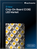 2025-2029年全球板載晶片（COB）LED市場