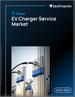 全球電動車充電服務市場，2025-2029年
