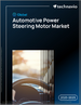 2025-2029年全球汽車動力方向盤馬達市場