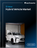 全球混合動力汽車市場，2025-2029年