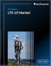 全球LTE物聯網市場，2025-2029年