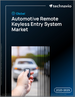2025-2029年全球汽車遙控免鑰出入控管系統市場