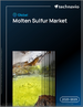 2025-2029年全球熔融硫市場