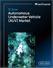 2025-2029年全球自主水下探勘（AUV）市場