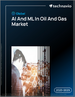 2025-2029年全球油氣市場人工智慧（AI）與機器學習（ML）發展趨勢