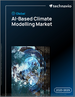 2025-2029年全球人工智慧氣候建模市場
