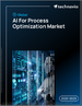 全球流程最佳化人工智慧市場（2025-2029）