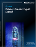 2025-2029年全球隱私權保護人工智慧市場