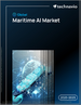2025-2029年全球海事人工智慧市場