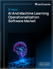 2025-2029年全球人工智慧與機器學習營運軟體市場