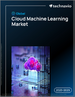 2025-2029年全球雲端機器學習市場
