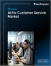 2025-2029年全球客戶服務人工智慧市場