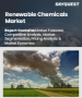 可再生化學品市場規模、佔有率和成長分析（按產品、原料、應用、最終用戶和地區分類）－2026-2033年產業預測