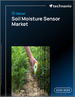 2025-2029年全球土壤濕度感測器市場