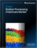 2025-2029年全球橡膠加工化學品市場