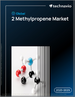 2025-2029年全球2-丙烯市場
