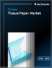 2026-2030年全球紙巾市場