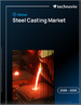 2026-2030年全球鋼鐵鑄造市場
