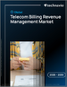 全球電信計費收入管理市場（2026-2030 年）