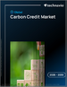 2026-2030年全球排碳權市場