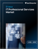 2026-2030年全球IT專業服務市場