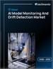 2026-2030年全球人工智慧模型監控與漂移檢測市場