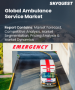救護車服務市場規模、佔有率和成長分析：按運輸方式、服務類型、應用和地區分類－2026-2033年產業預測
