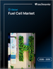 2026-2030年全球燃料電池市場