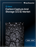 2026-2030年全球碳捕獲與儲存（CCS）市場