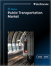 2026-2030年全球公共運輸市場