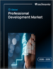 2026-2030年全球專業技能發展市場