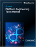 2026-2030年全球平台工程工具市場