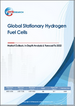 固定式氫燃料電池：全球市場展望、詳細分析及至2032年預測