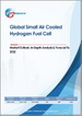 全球小型空冷式氫燃料電池市場展望、詳細分析及至2032年預測